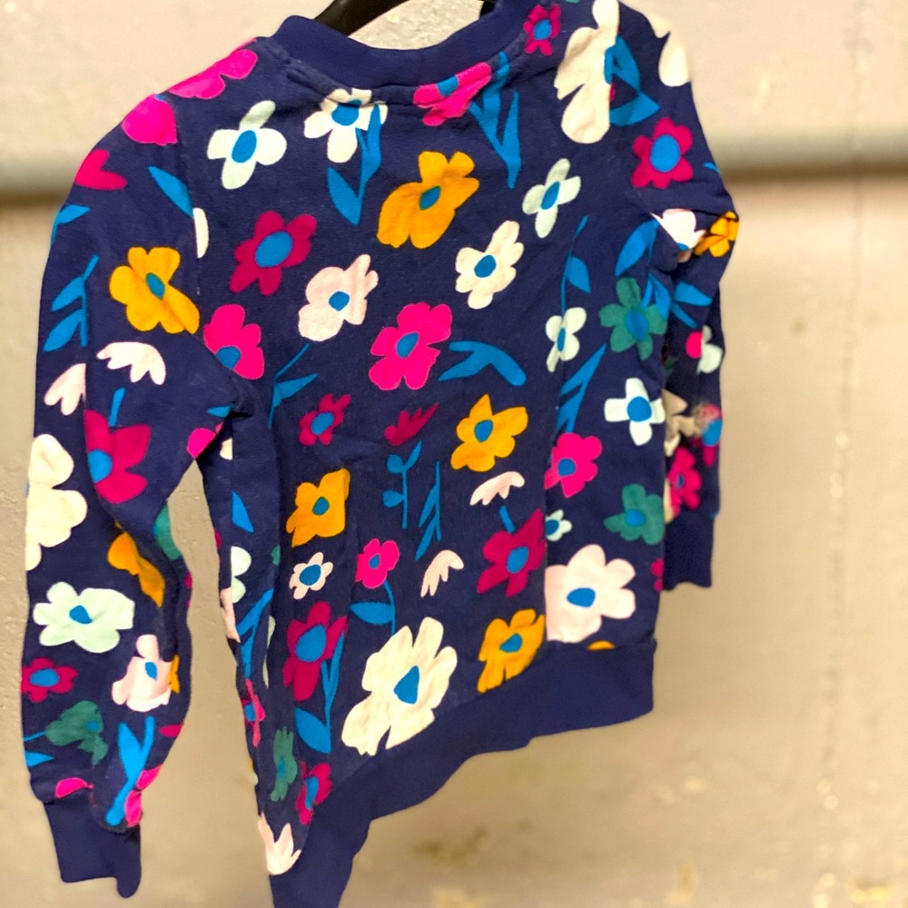 Set of 2! Hanna Andersson All Play Sweatshirt